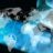 beginners course in cyber security